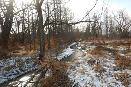 Stream through lightly wooded area in the winter
