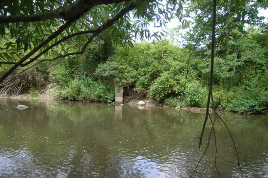 Medway Valley Heritage Forest view of river