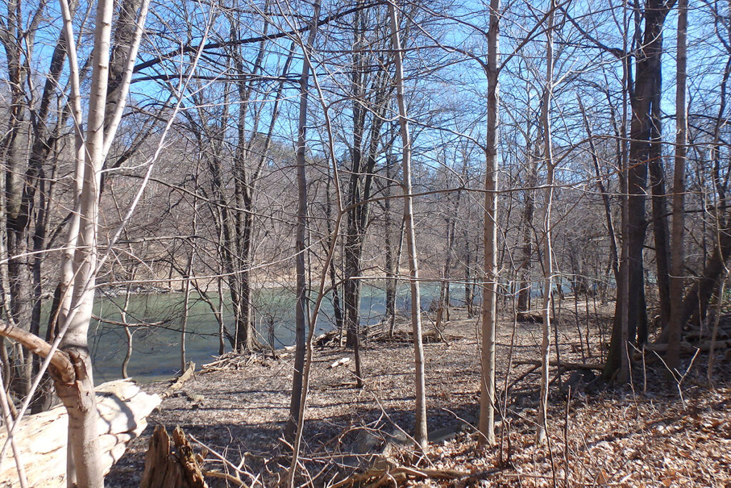 Medway Valley Heritage Forest
