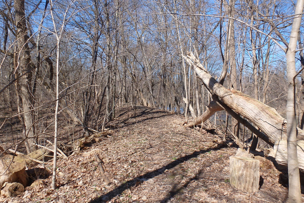Medway Valley Heritage Forest
