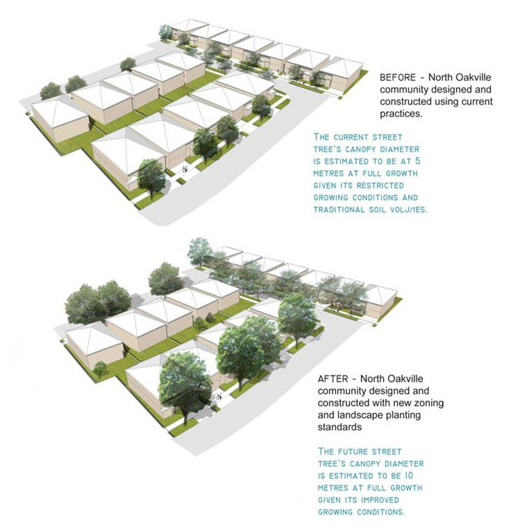 3D visualization of tree growth in the urban area
